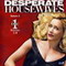 DESPERATE HOUSEWIVES SAISON 2